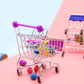 Mini Shopping Cart Supermarket Model
